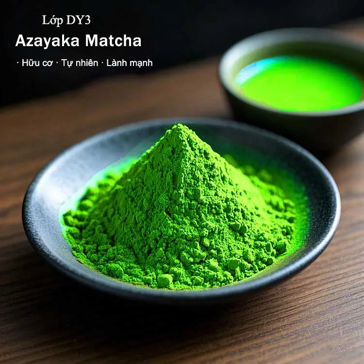 Bột matcha DY3