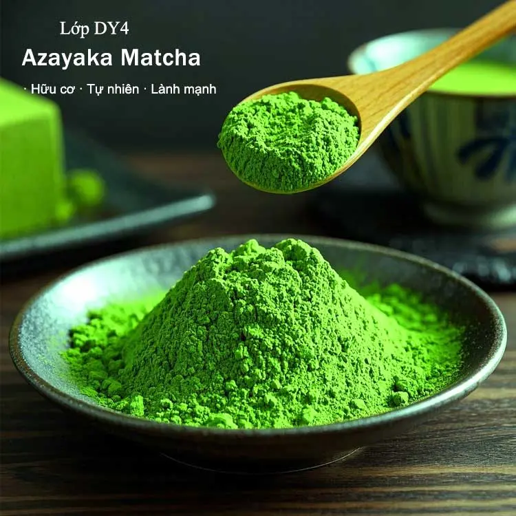 Bột matcha DY4