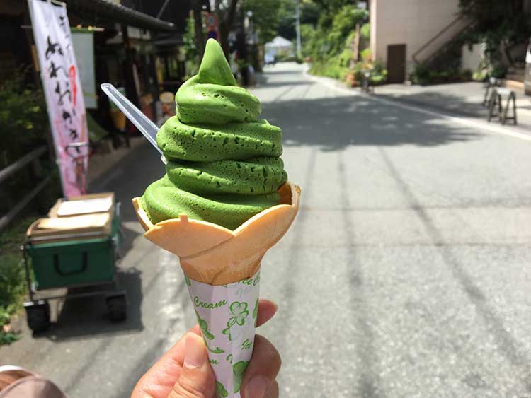Japanese Matcha Ice Cream