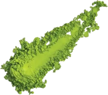 Standard Grade Matcha