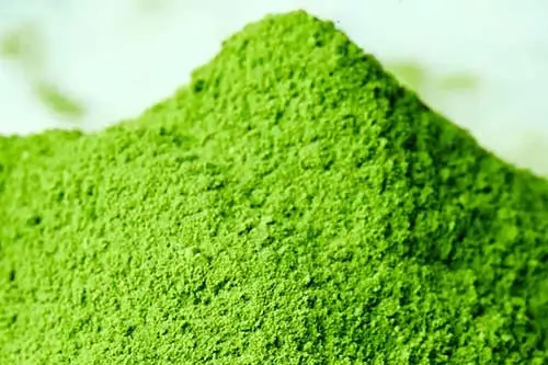 Matcha Powder