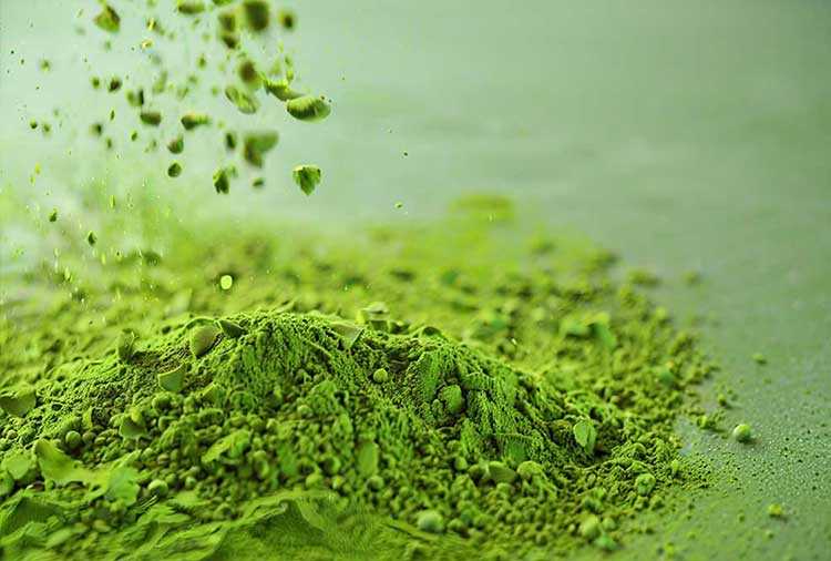 The tea chosen by our Staff