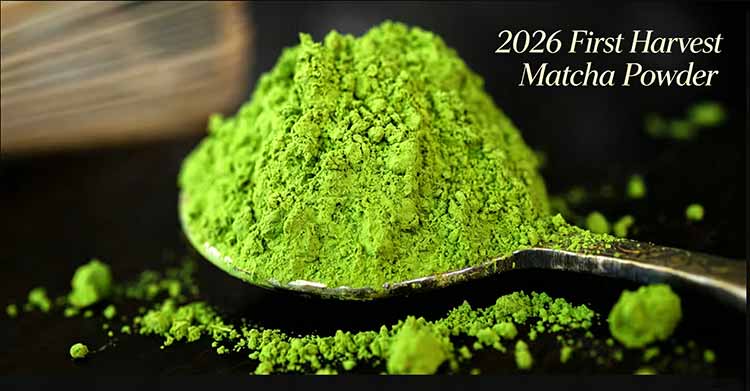 Azayaka Matcha Plantation