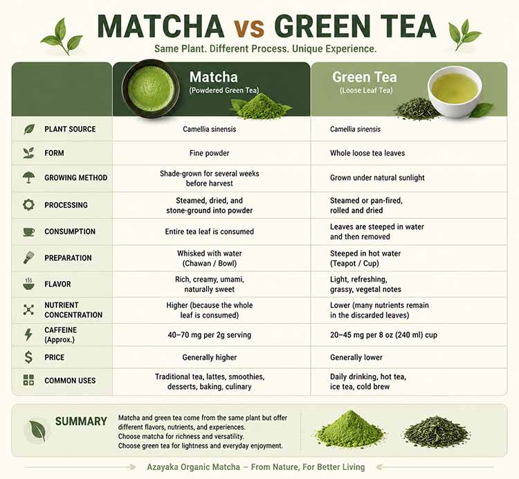 difference between matcha and green tea